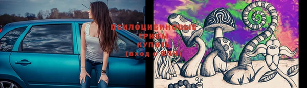 mdpv Кинешма