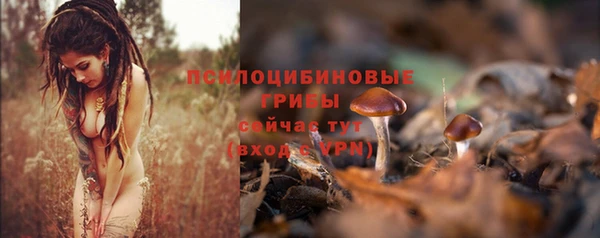 mdpv Кинешма