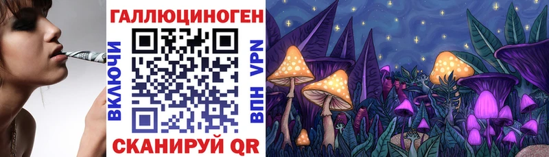 Галлюциногенные грибы Magic Shrooms  Купить  Черноголовка 